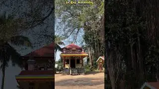 #kuruwarabettu #kuruwarabettuhosabettu #hosabettu #babbuswami #kordabbu #daiva #tulunadu