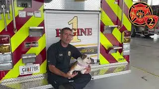 National Pet Fire Safety Day 2023