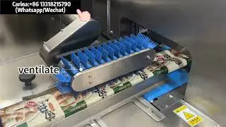 Reciprocating Packing Machine for Frozen Food Test#packagingmachine