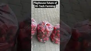 Playhouse future of Hi-Tech Farming#earning#khusi#power#superfarmer for info 8188084462