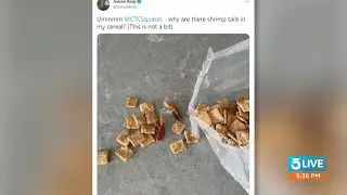 Shrimp tails, dental floss found in box of Cinnamon Toast Crunch cereal