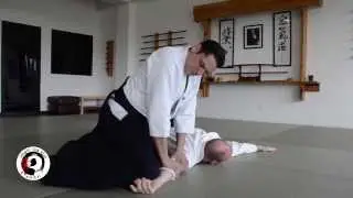 Katate dori ai hanmi Ikkyo Omote