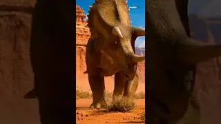 The Tank of the Cretaceous Era: Triceratops🦕🦖&rlm;#wildlife #animals #facts #shorts #zoovibe