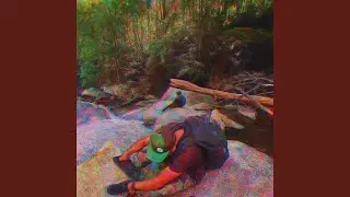 No drugs.
