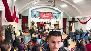 🎄🎄🎄🎄2025
