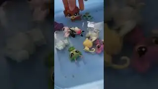 Minişler Yüzme Dersinde