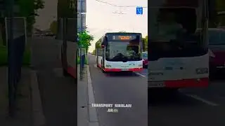 автобус MAN A21 Lion's city NL283 на 1 маршруте