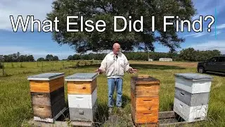 Pulling Honey Boxes from Taylor Yard - Actually Second Pull - What Else Did We Find?