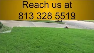 Lawn Care Estimator Holiday FL - Call This Number - (813) 328 5519