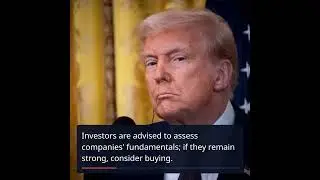 Navigating the Trump Slump: Smart Investment Strategies