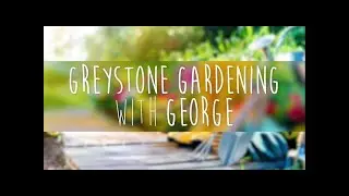Greystone Gardening with George | Starting the Winter Garden