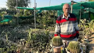 Rare पौधों वाली दिल्ली की 45 साल पुरानी नर्सरी 😱🪴 घर बैठे मंगाए 🌱 Rare Plants Nursery