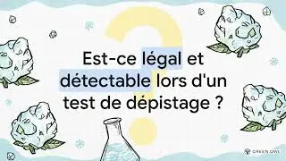ICE ROCK CBD : c&oelig;ur fleur, bain d&rsquo;extrait, enrobage isolat | Green Owl