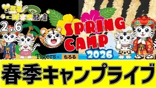 【 阪神 春季キャンプ LIVE 】 2/6 阪神タイガース 沖縄春季キャンプ 2026 Birthday春季キャンプをみんなで一緒に応援ライブ #全試合無料ライブ配信 #阪神ライブ ＃実況 #ライブ