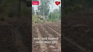 कराड - उंडाळे शेवाळेवाडी रस्त्यावर बिबट्या सुसाट | #leopard #karad #undale #viralvideo #karadtoday
