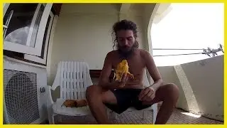 СОЧНЫЕ МАНГО НАМ ДОК МАЙ В ТАИЛАНДЕ