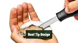 Top Best Seafood Tools in 2024 & Buying Guide - Must Watch Before Buying!