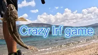 Crazy lrf game with my favorite micro jigs