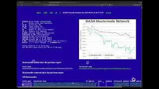 Who owns the Dash