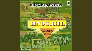 Manda Cumplida