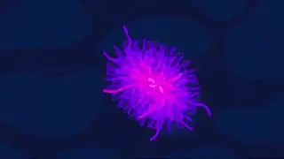 This is widely considered the biggest anime betrayals in evolutionary history