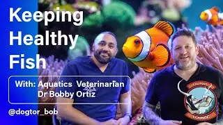 Keeping Healthy Fish, with aquatics and exotics specialist veterinarian, Dr Bobby Ortiz.