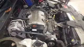 DP1202 - 1998 Chevrolet Lumina/LS - 3.1L