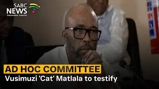 Ad Hoc Committee | Vusimuzi 'Cat' Matlala to testify