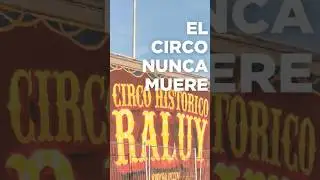 Raluy nunca muere  #walkbcn #circo #raluy #barcelona  #marchanordica #trainingnotwalking #citywalks