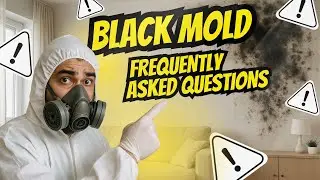 Black Mold Removal: Frequently Asked Questions
