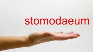 How to Pronounce stomodaeum - American English