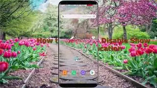 Android Nougat : How to Enable or Disable Show Pointer location in Samsung Galaxy S8 or S8+