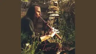 Stone Voices