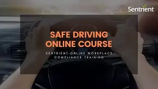 Safe Driving Online Course | Drive Safely at Work | Sentrient