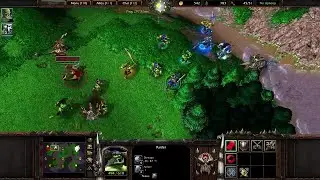 Warcraft 3 Frozen Throne 1v1 Ranked Ladder Map Echo Isles - Orc Vs Random MMR 4758