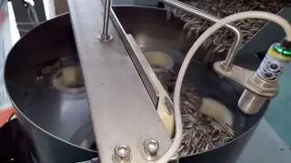 Sunflower Seeds packing machines
