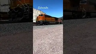 Buddy Scores Another Train Meet. BNSF Port/Ethanol Train Meets BNSF Domestic Intermodal Train!