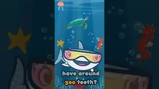 Surprising Aquatic Creature Discoveries