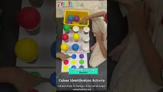 Colour identification Acitivity | Vishesh School for special children Education Center