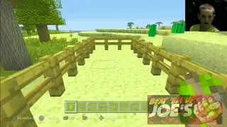 Beat 'em up Jr. Minecraft Zoo Building and play