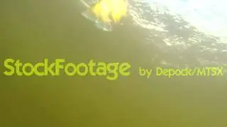 Royalty Free Stock Footage - Underwater clip/Fishing  - Free Download