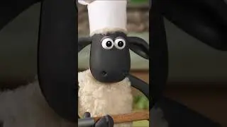 Best Pizza on the Farm🐑🐑🐑#shaunthesheep #shorts #pizza