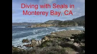 Diving Monterey Bay and Point Lobos in California