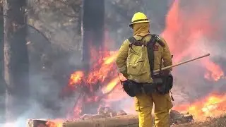 Noam Chomsky: The Future of Organized Human Life Is At Risk Thanks to GOP's Climate Change Denial