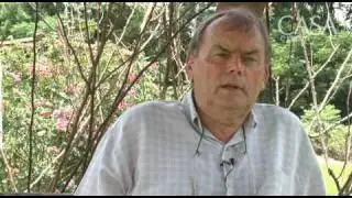 Tudo sobre rosas
