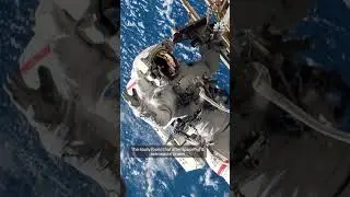 Astronauts' brains change shape in space, study shows