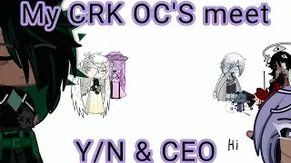 ✧I force my CRK OC'S to meet Y/N x CEO✧ A bit rushed || Not Original ||