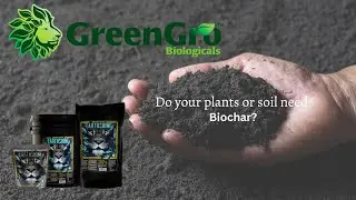 Do you plants or soil need Biochar?