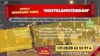 What is the address of The White Tulip Hostel Amsterdam?