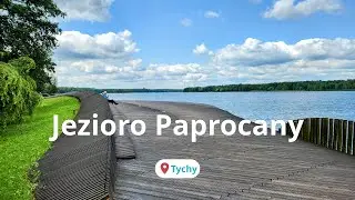 Jezioro Paprocany w Tychach – Atrakcje, ścieżki, kąpielisko, dojazd